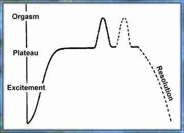 Cycle de Réponse Sexuelle de la Femme